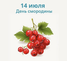 День смородины День смородины.
