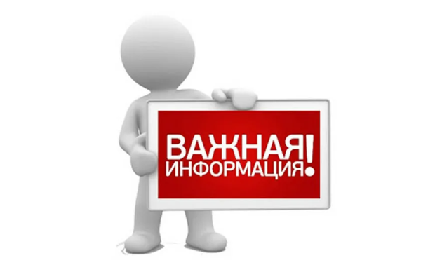 Семейный поход в лес Семейный поход в лес.